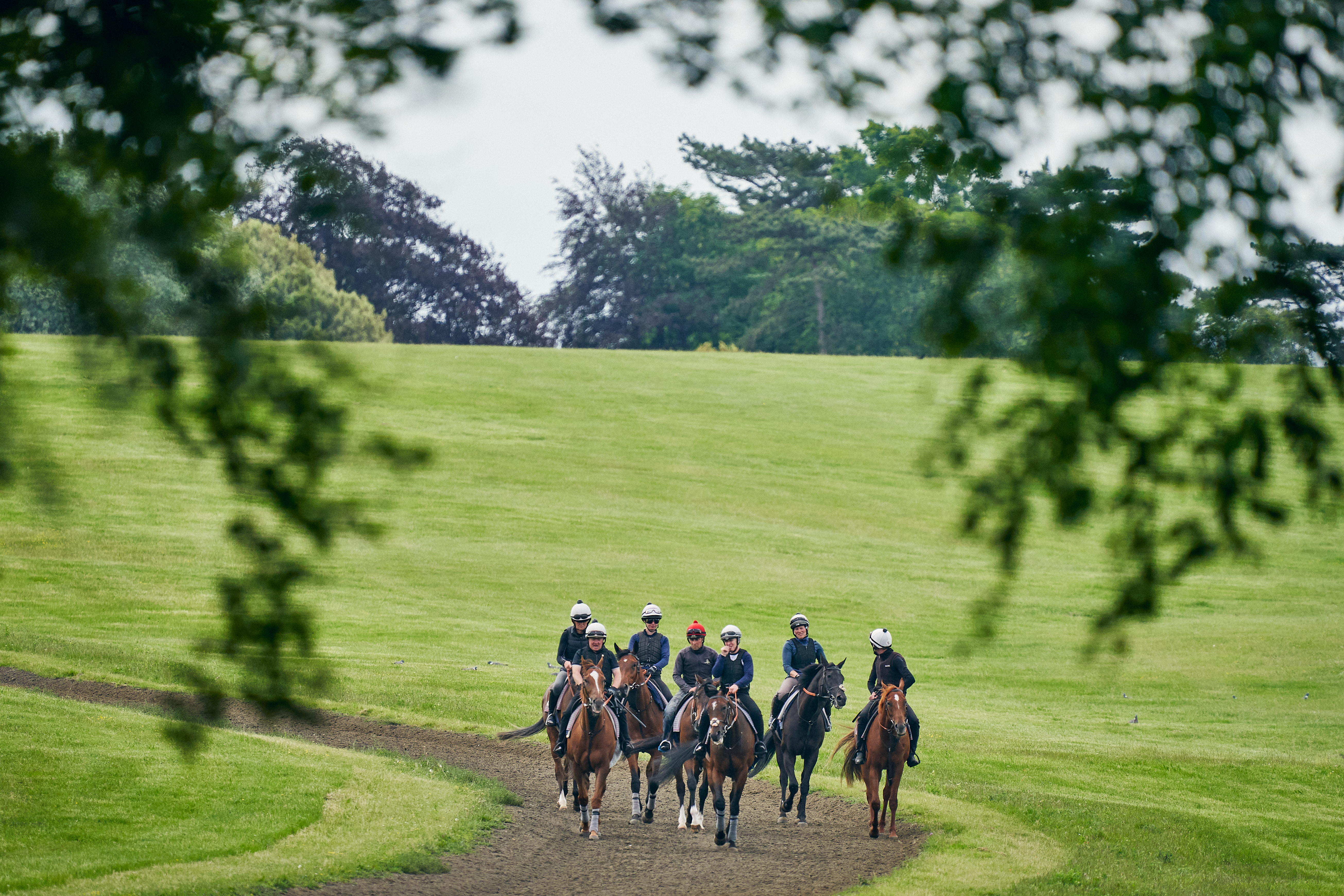 A look back at 2024 by Cornelius Lysaght