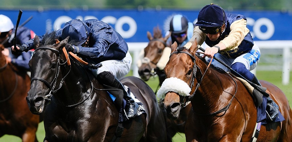 Arctic Thunder Propels to glory at Ascot