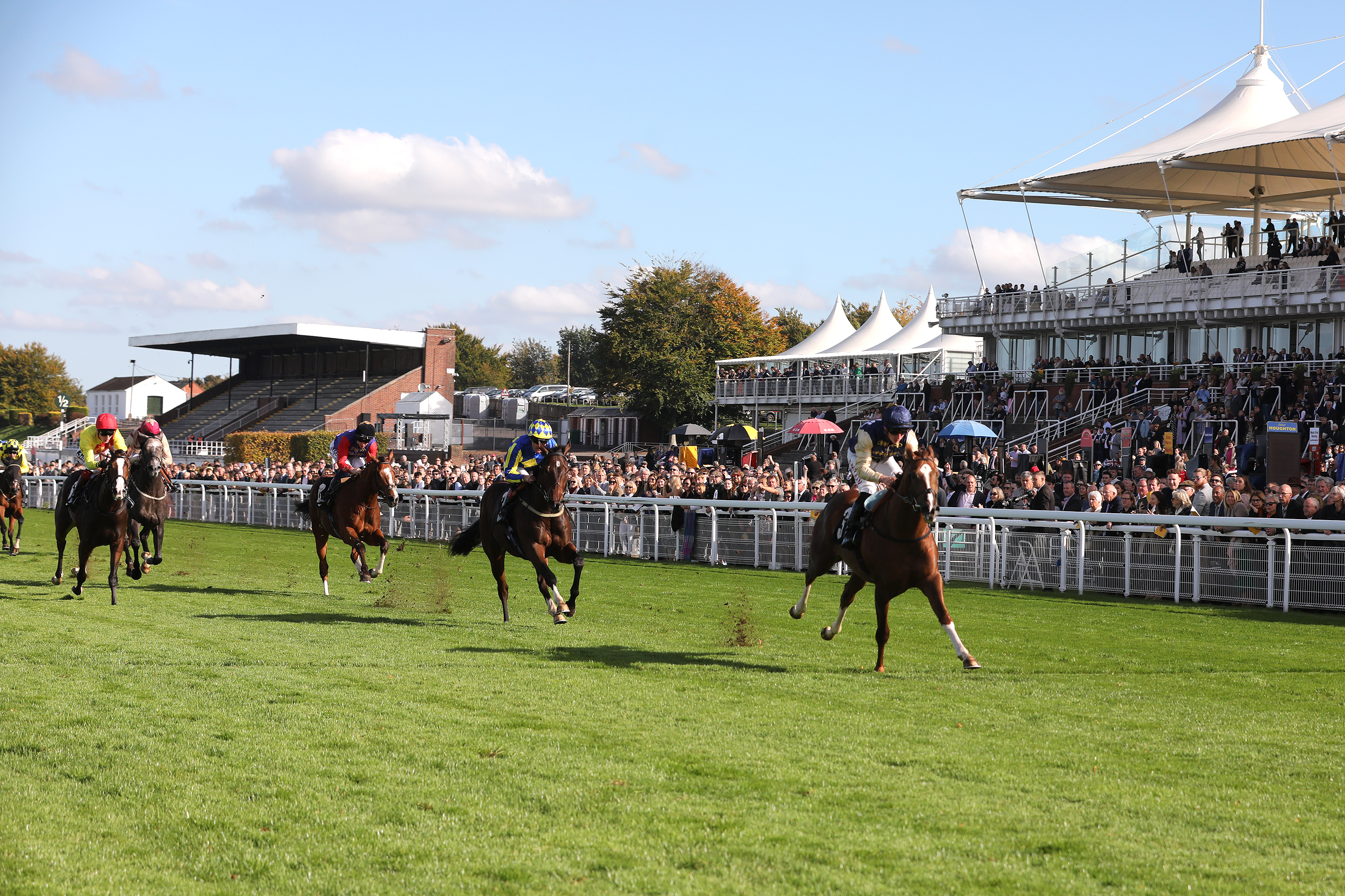 Memories of Glorious Goodwood by Cornelius Lysaght