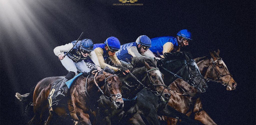 Our Horses Do The Talking...