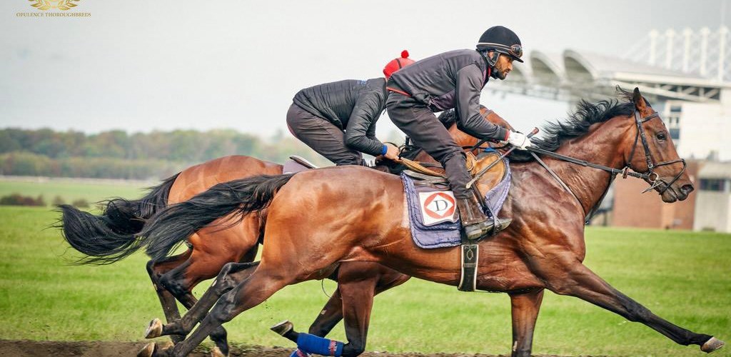 Morning At The Gallops With Motorious