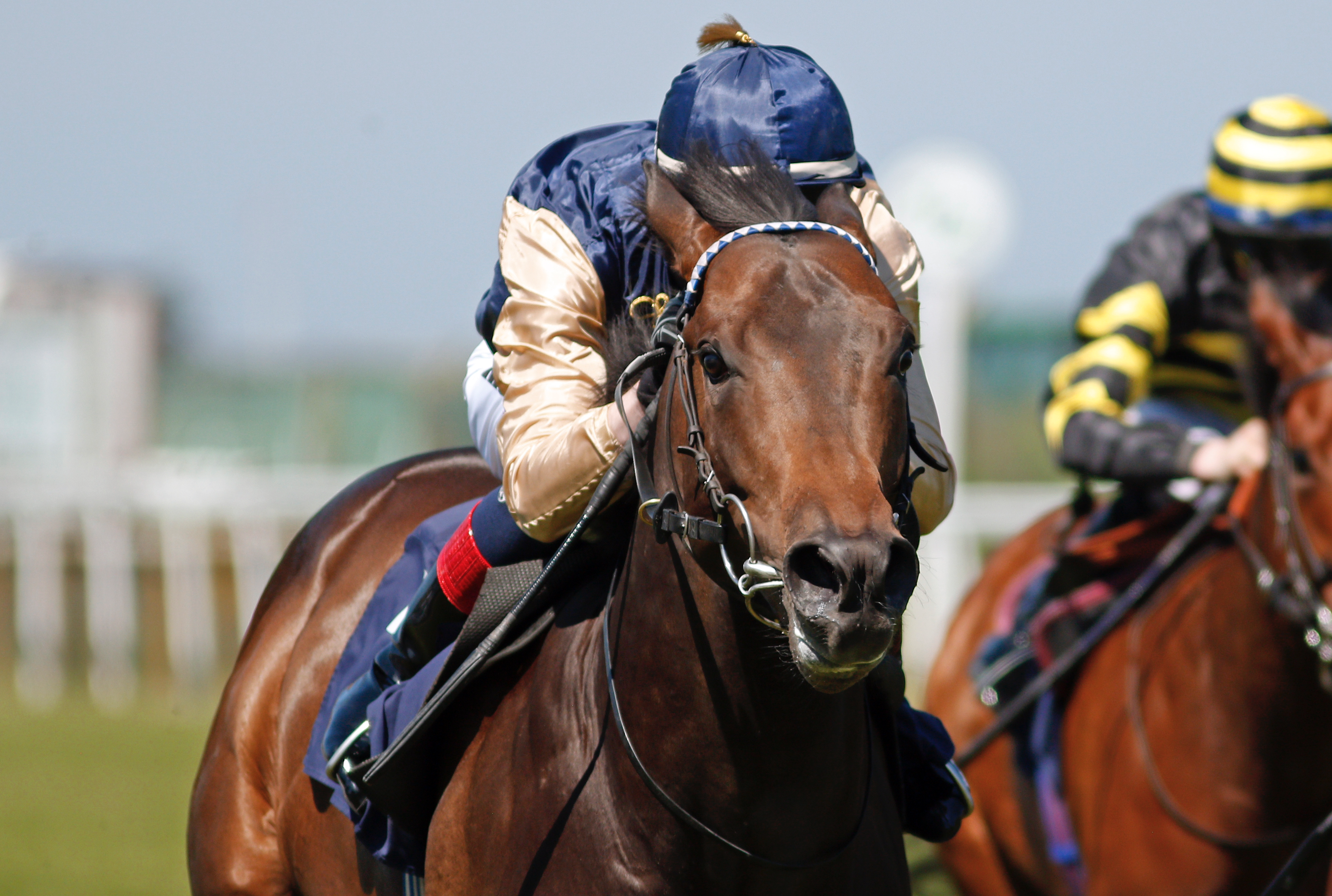 Manettino Wins His Debut Race