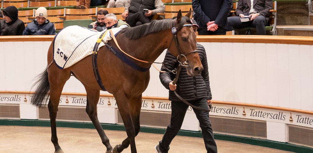 Motorious Sells for 220,000 GNS