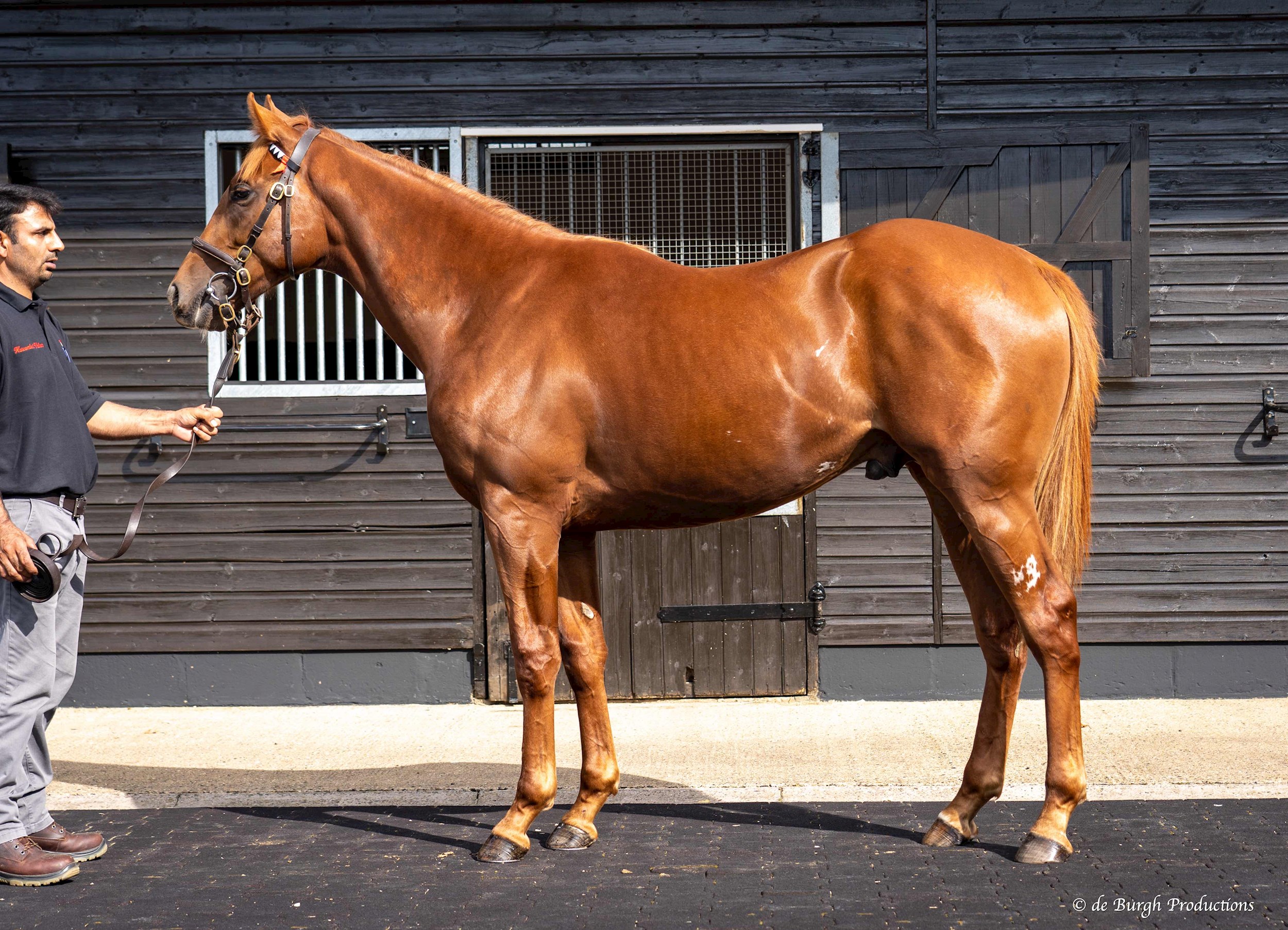 Exceed And Excel Ex Magic Nymph