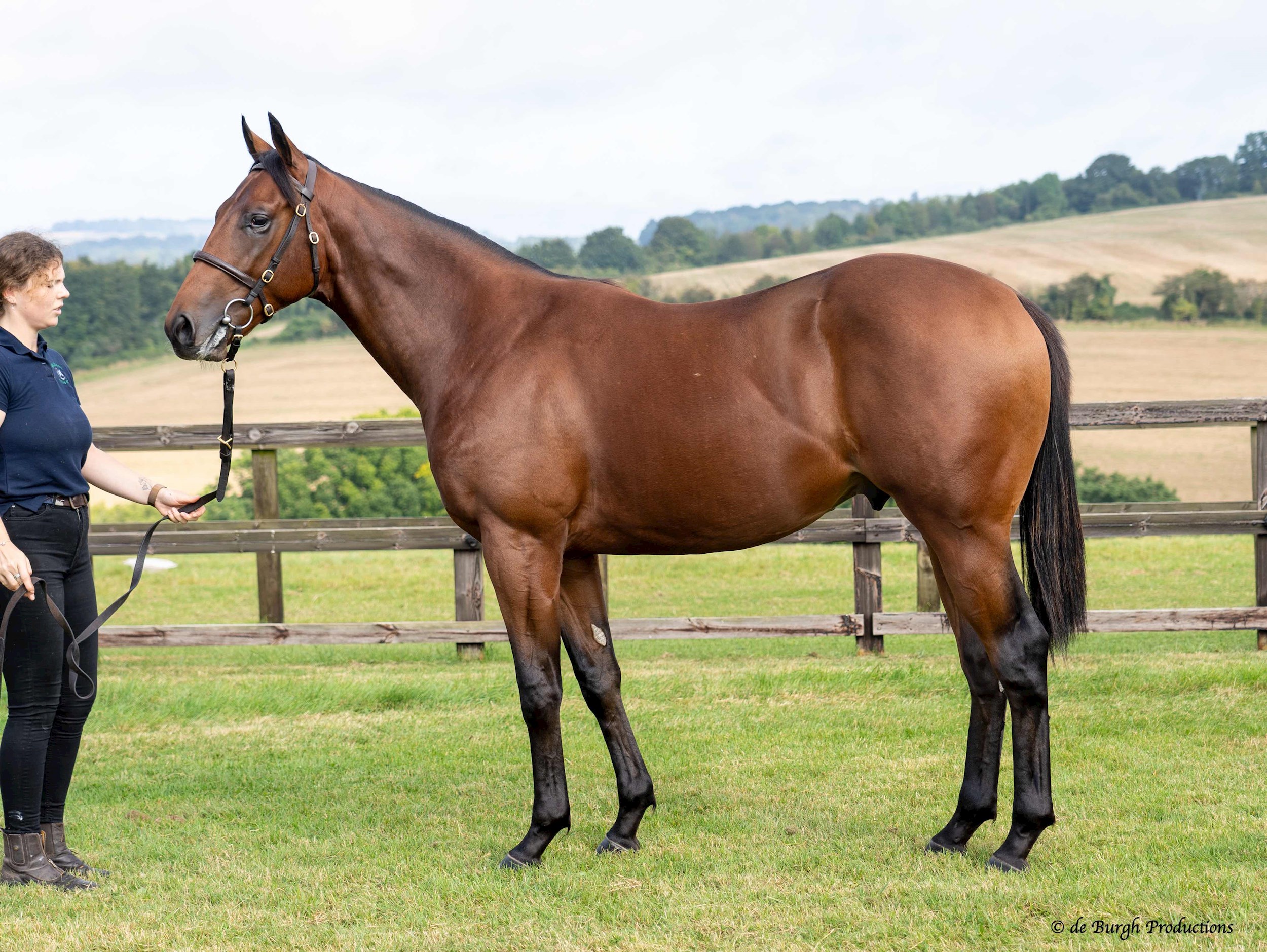 Muhaarar Ex Perfect Blessings