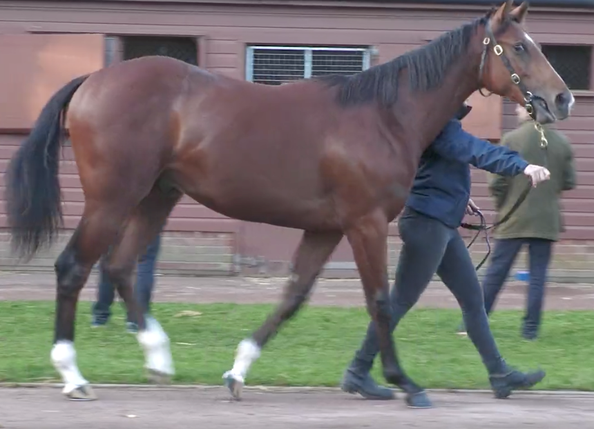 Muhaarar Ex La Napoule