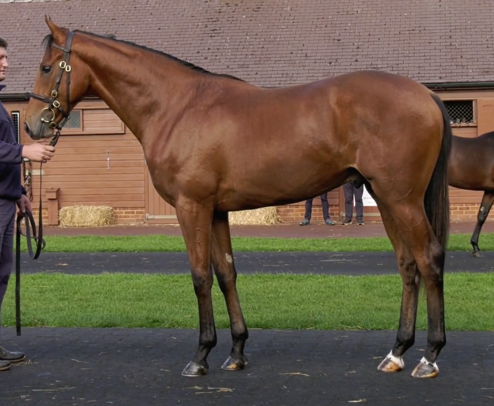 Fast Company Ex Condensed