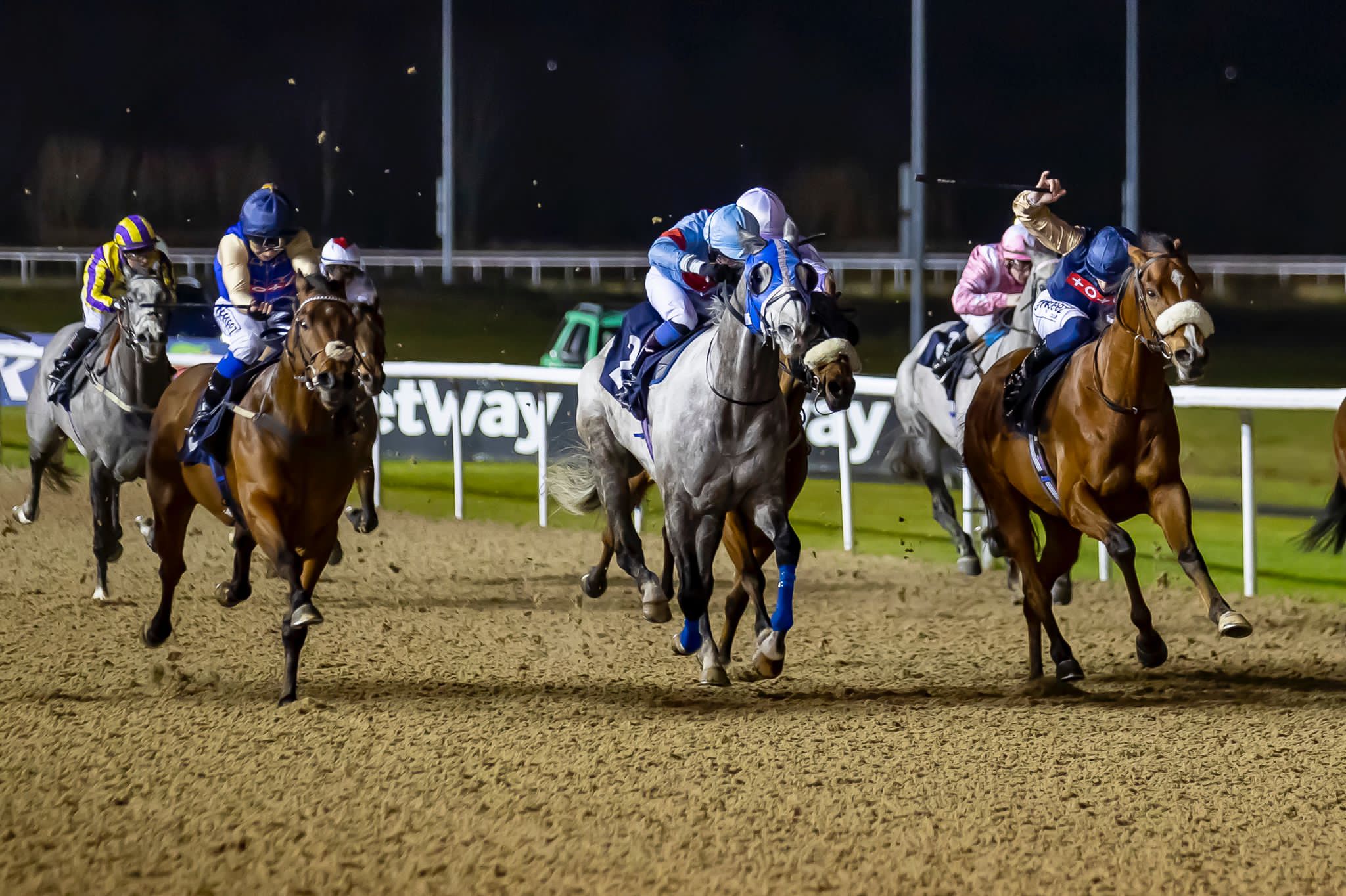 Tributo forces a dead heat on the line