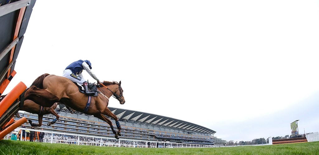 Opulence Thoroughbreds' Recent Results