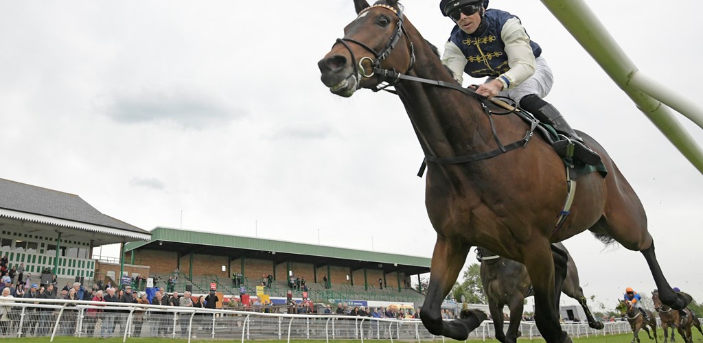 Diamond Ranger wins first time up, at Catterick Racecourse