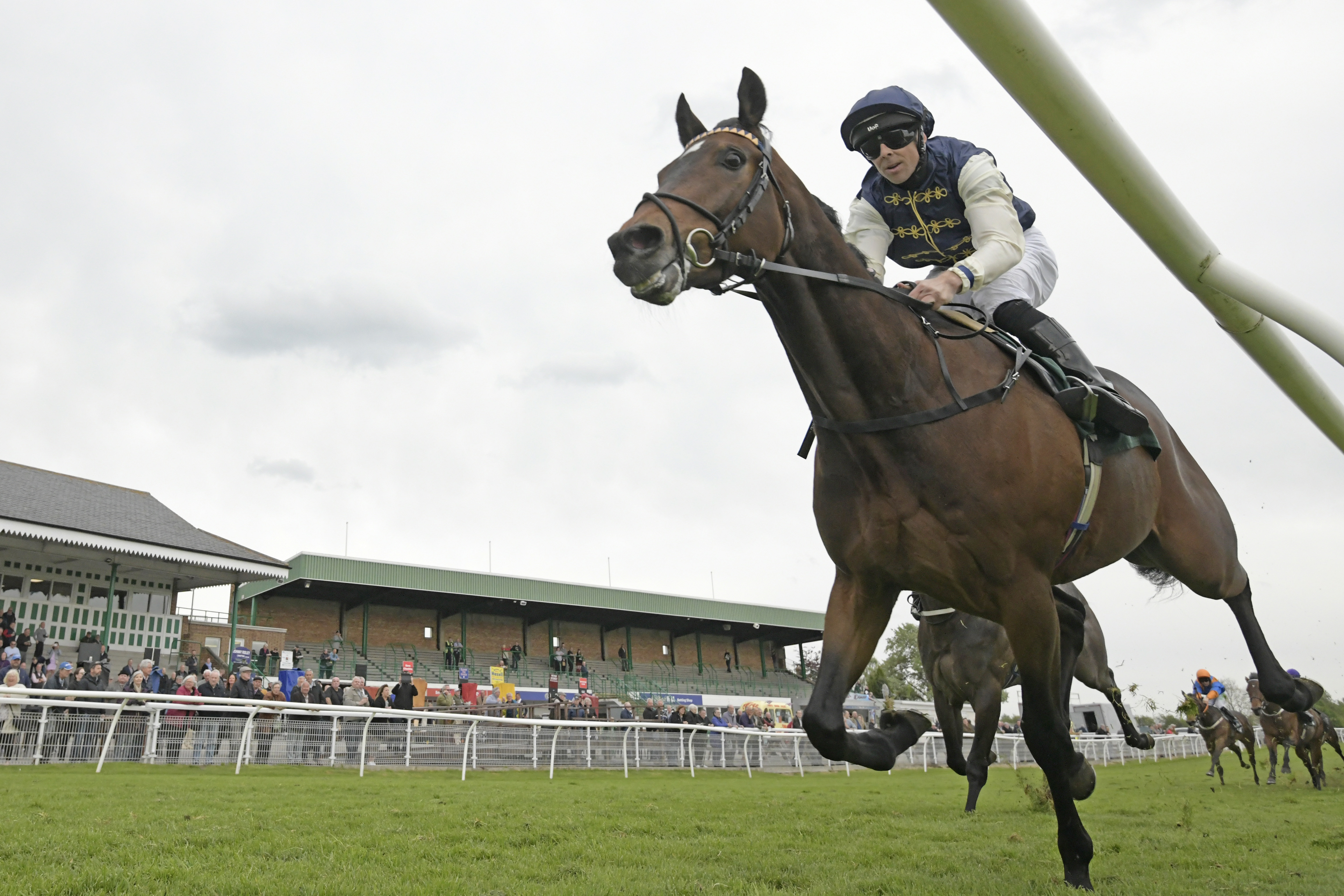 Diamond Ranger wins first time up, at Catterick Racecourse