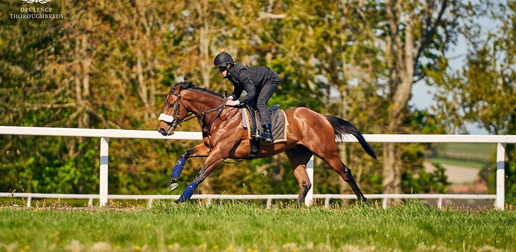 Bizarre Law wins at Goodwood Racecourse
