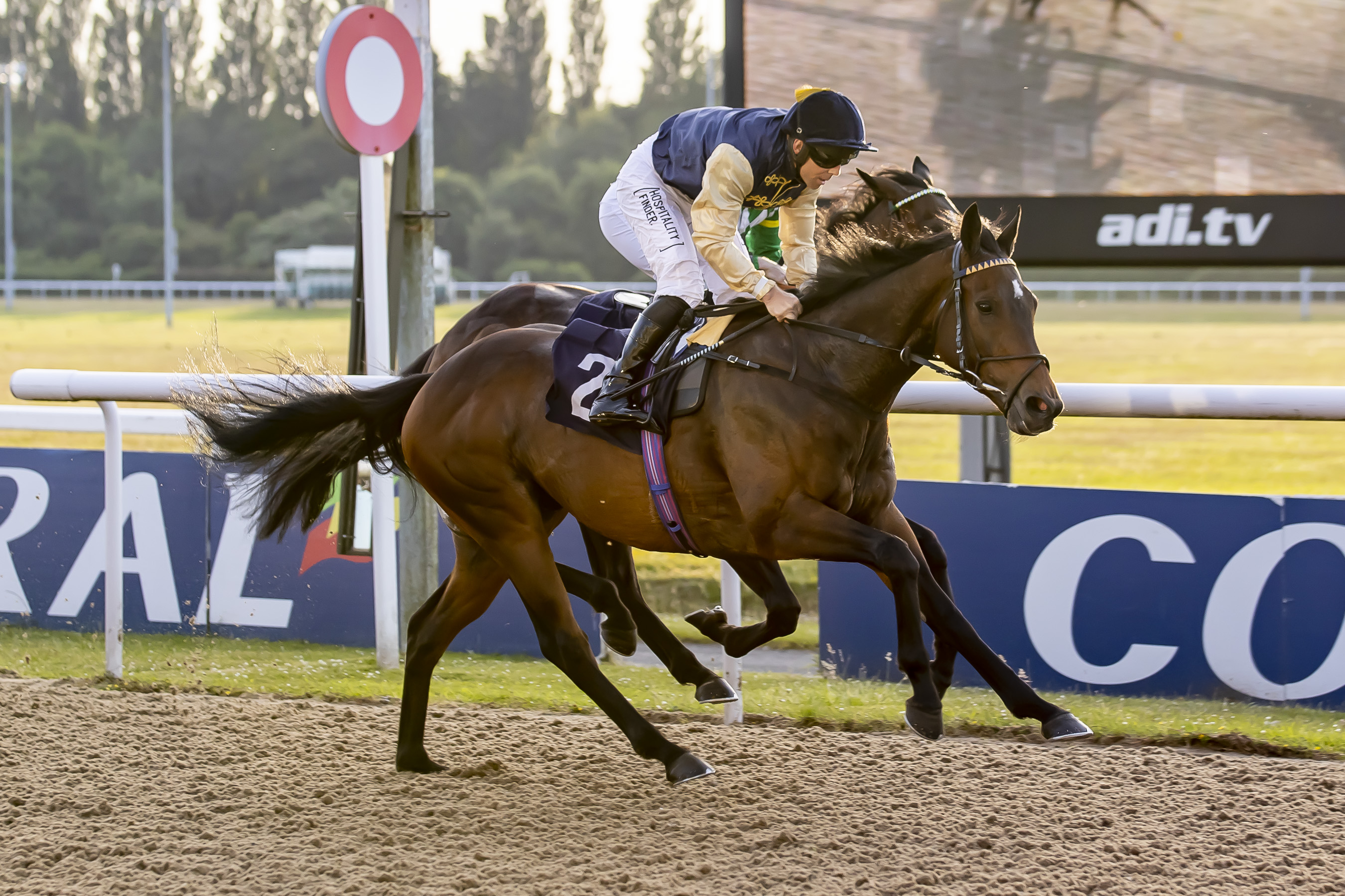 Diamond Ranger makes it two wins in three starts!