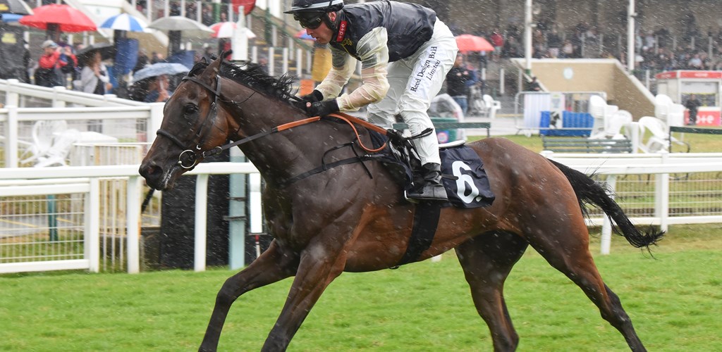 Islay Of Anglesey won readily at Yarmouth