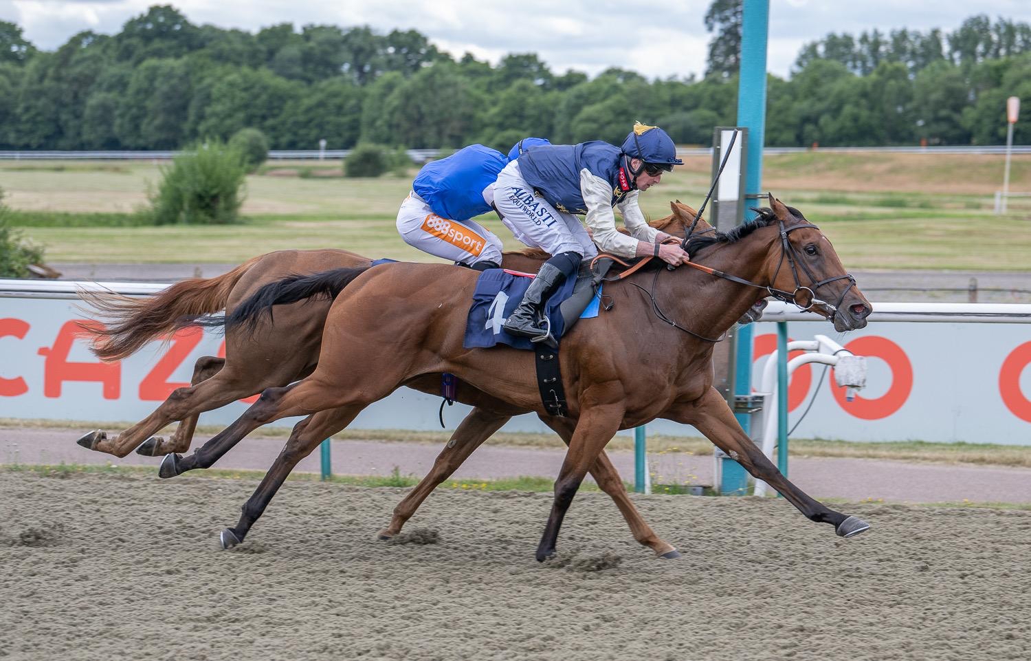Consensus De Vega wins cosily at Lingfield Park Racecourse