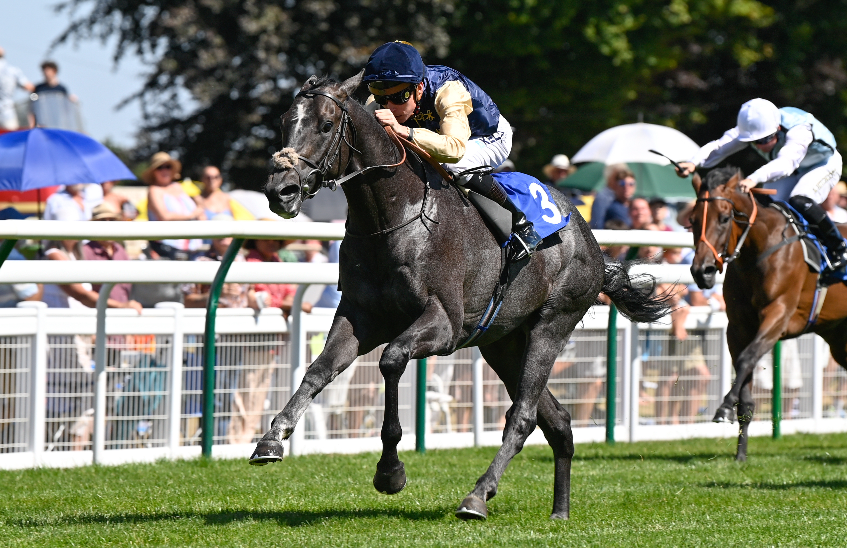 Celtic Champion wins £15,000 Tattersalls Craven Breeze up Bonus