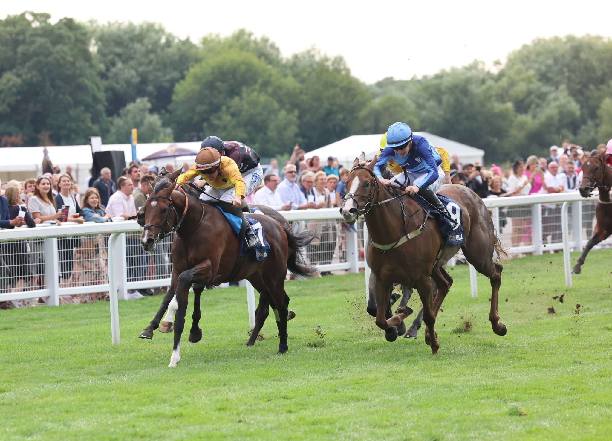 Lir Speciale wins a 50k Racing League Race, securing his second win in 5 career starts!