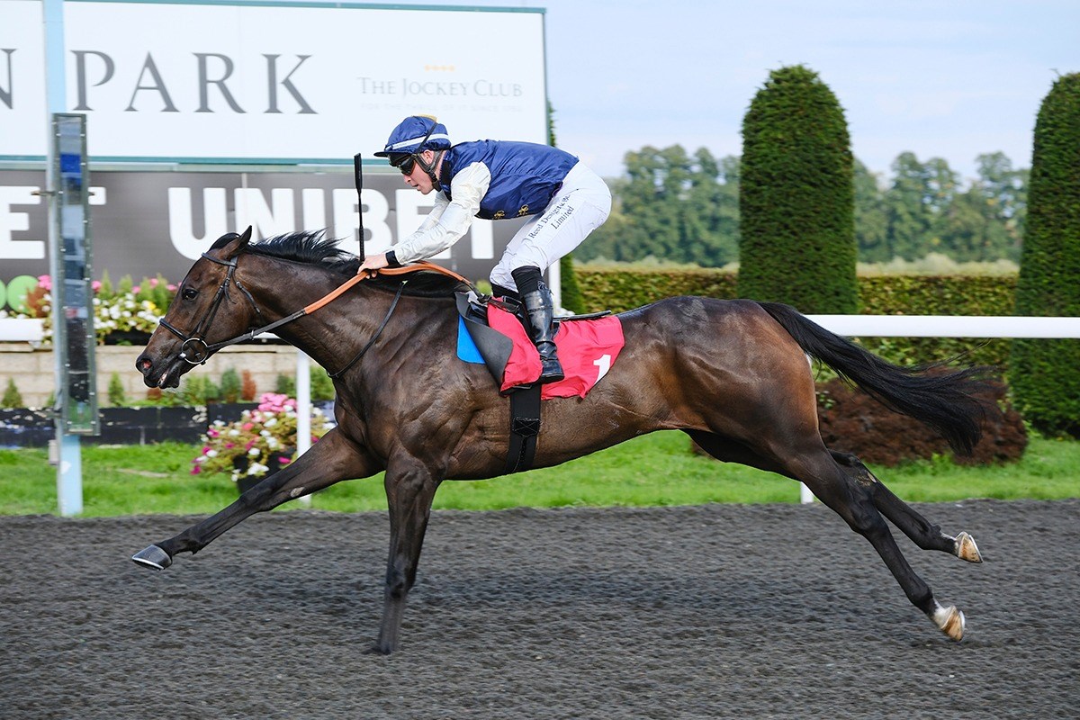Revenite wins by three lengths at Kempton