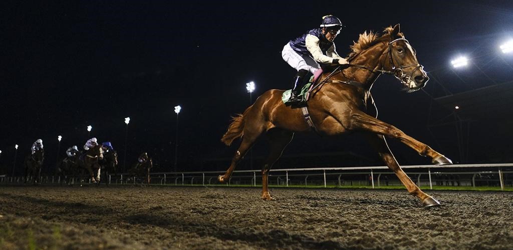 DIONYSIAN MAKES ALL!