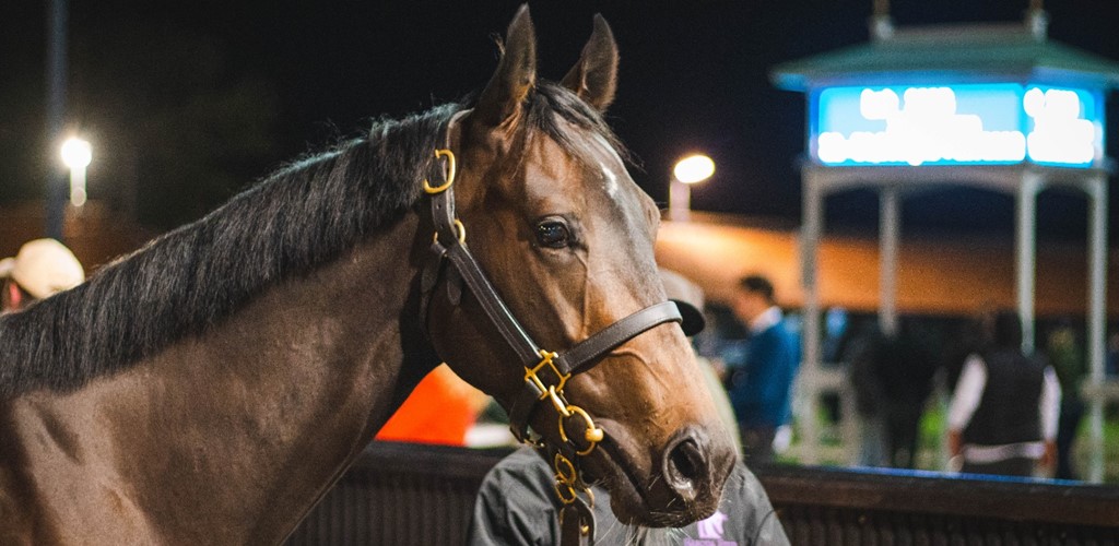 The hammer lands on £200,000 for REVENITE