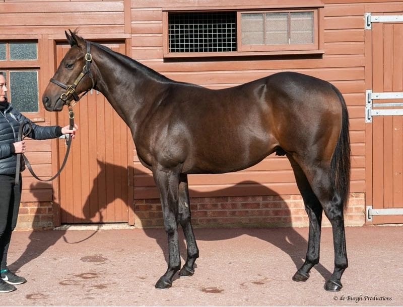 Time Test x Heading North - To be trained by George Scott
