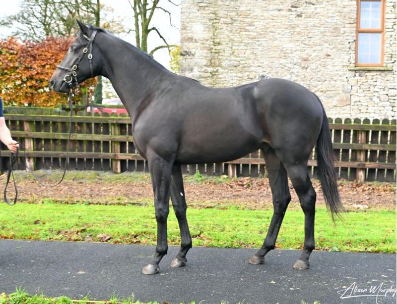 Unnamed - Ten Sovereigns x Tracing