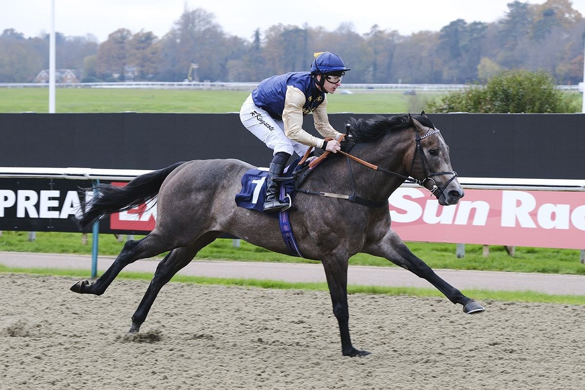 Hubert's Dream powering clear in the 6f Handicap Stakes at Lingfield