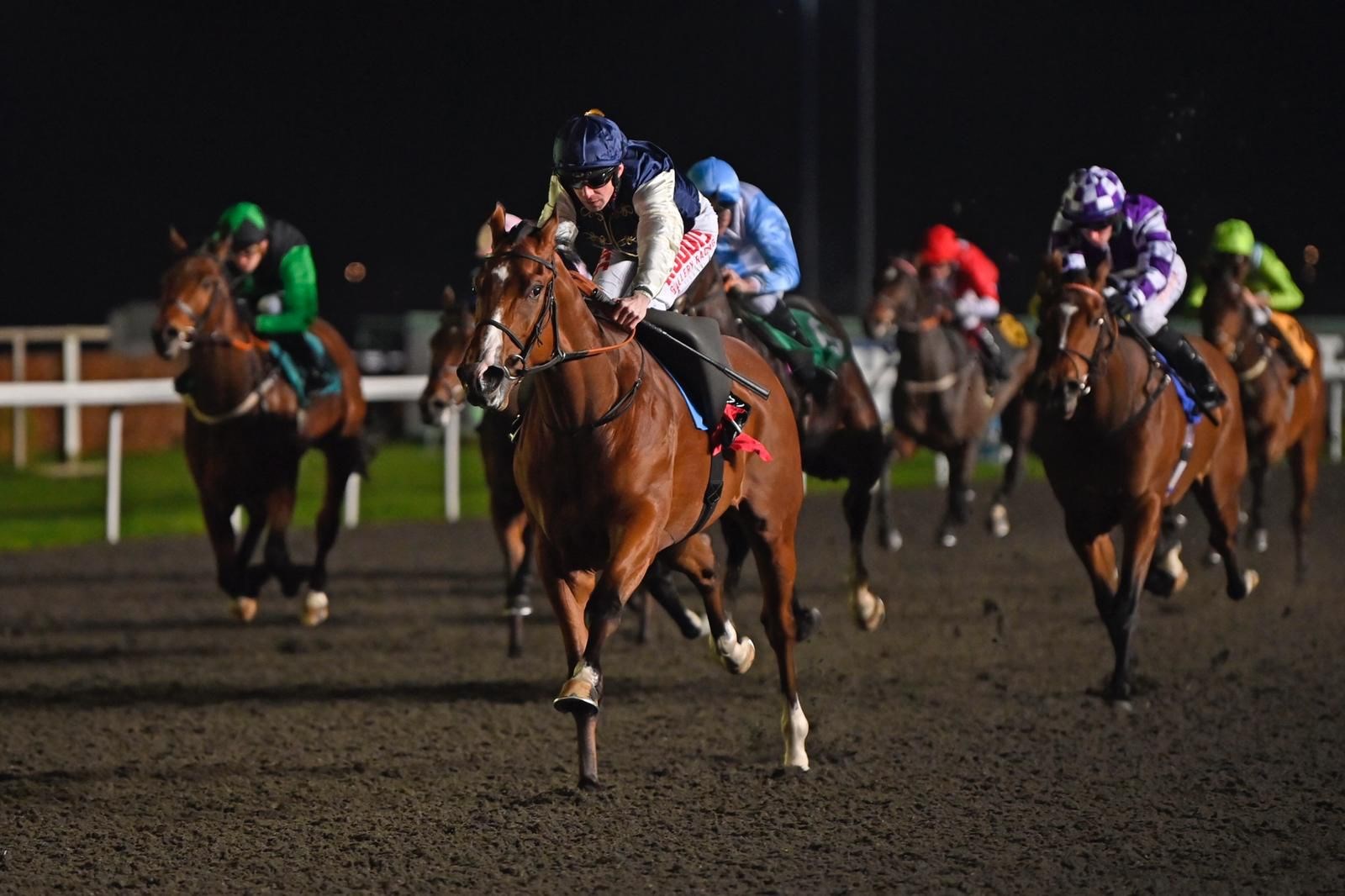 Tyndrum Gold leading the way in the 6:00 1m Novice Stakes at Kempton