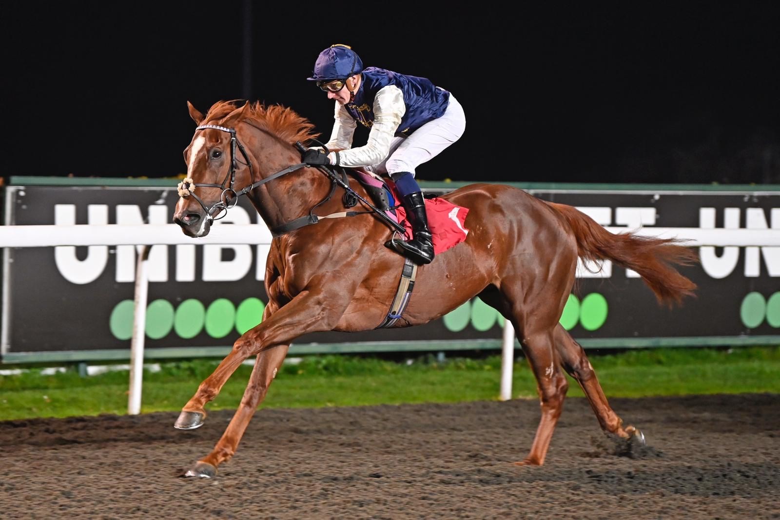 Dionysian winning the 6:30 1m Novice Stakes at Kempton