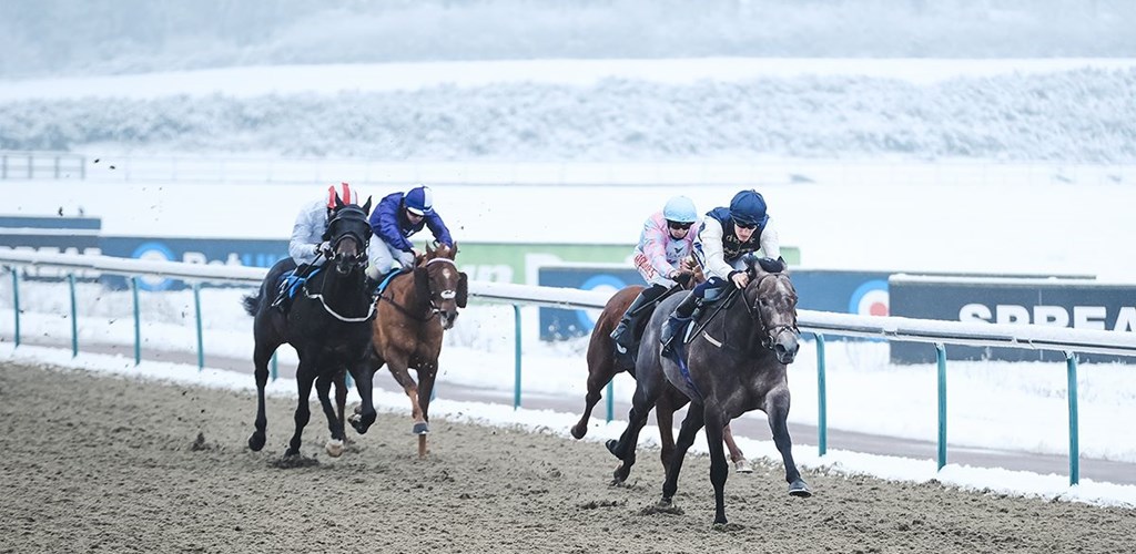 Hubert's Dream Lands a Hat Trick