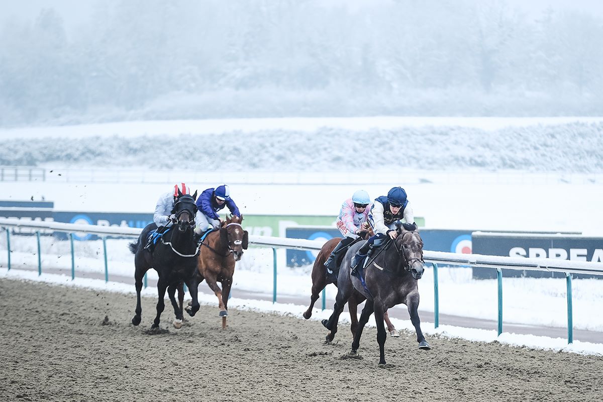 Hubert's Dream Lands a Hat Trick