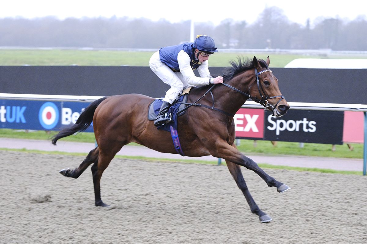 PARIS LIGHTS Shines on Stable Debut