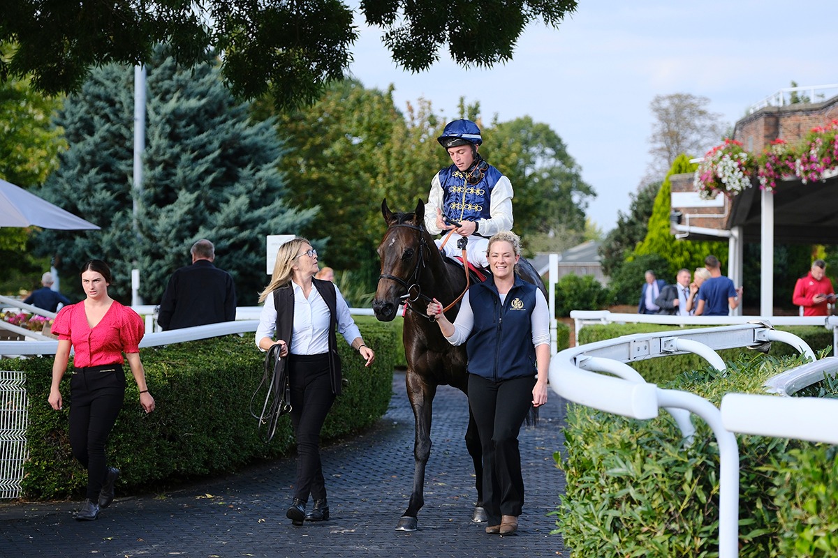 Cornelius Lysaght Takes a Look at 2022