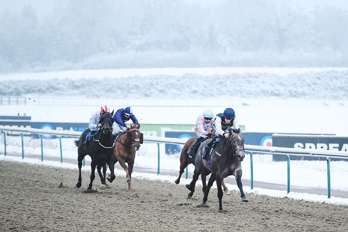 HUBERT'S DREAM winning his third Handicap in under two weeks
