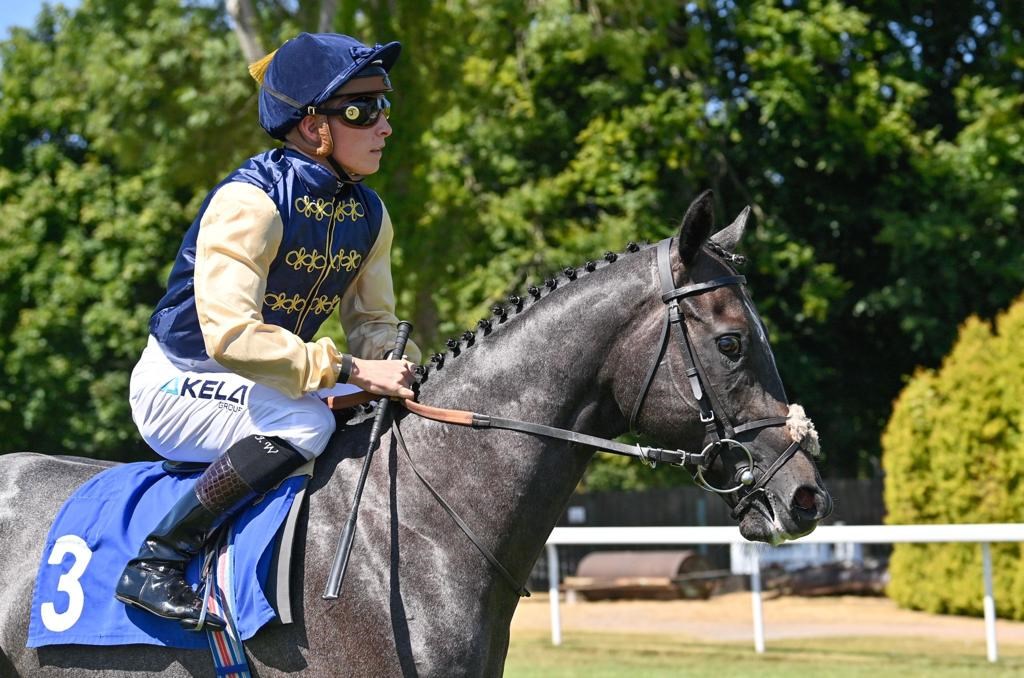 Celtic Champion at Salisbury
