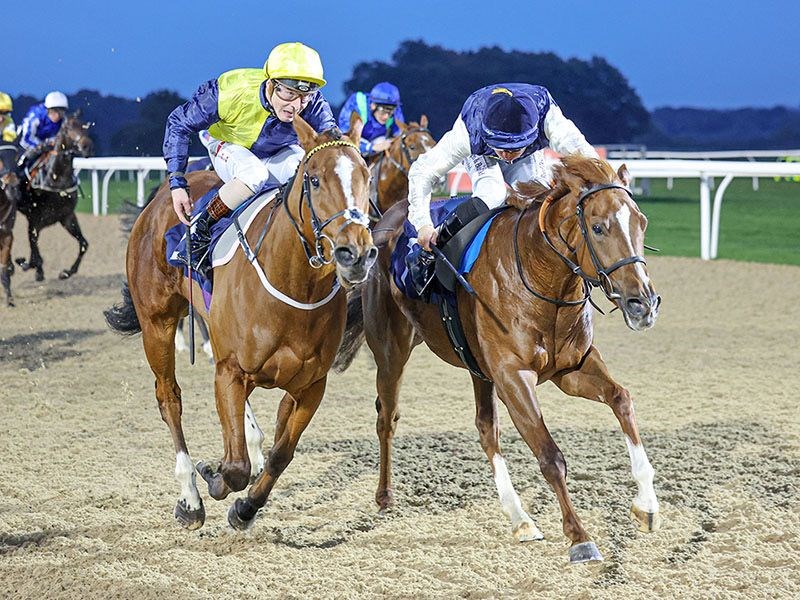 AZURE ANGEL breaking her maiden on her second start at Newcastle