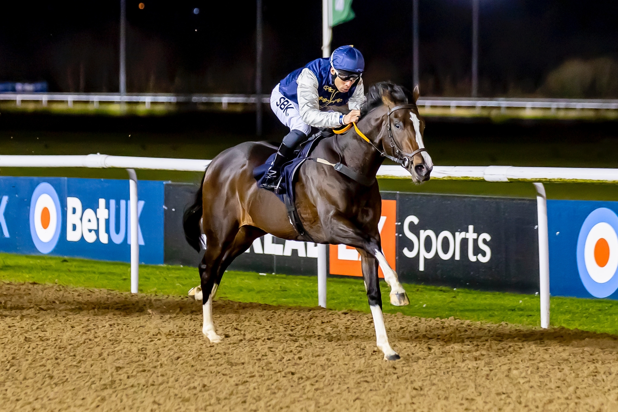 A Superb Start to the New Year