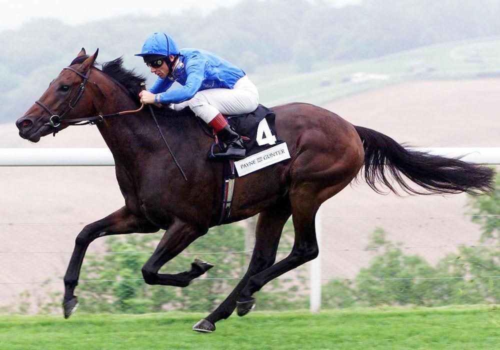 DUBAI MILLENNIUM, sire of DUBAWI, who died of grass sickness aged five after just one season as a stallion.