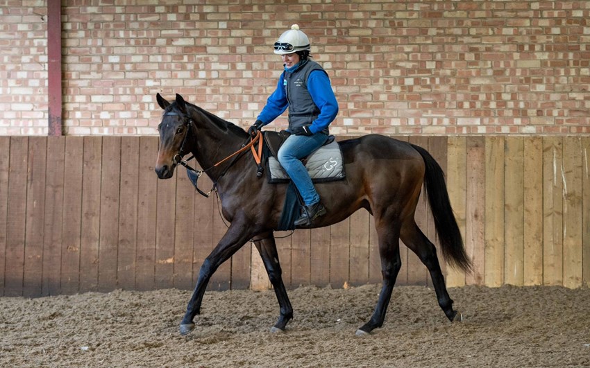 Melanie's Joy looking very relaxed and happy in his training.