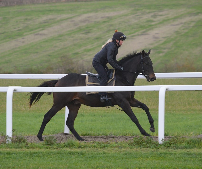 Ureshii cantering away nicely.