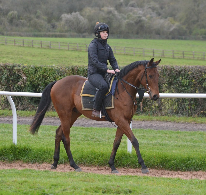 Arctic Thunder on the way to the gallops.