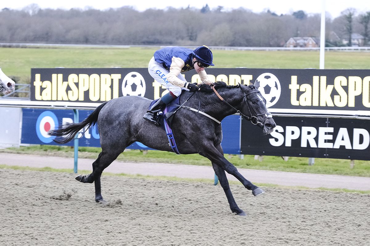 Celtic Champion Scores at Lingfield