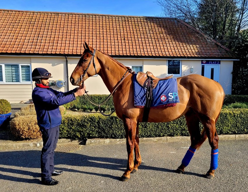 First day in his new yard with Stuart Williams