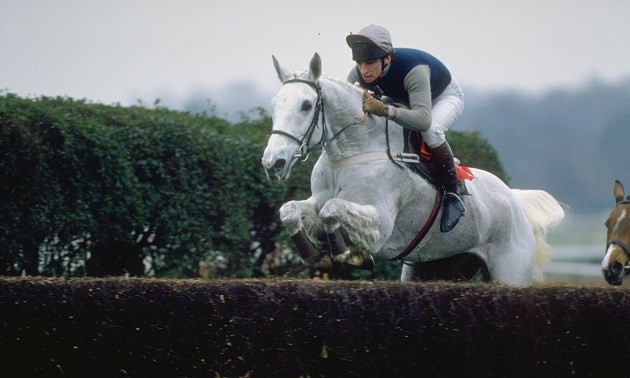 DESERT ORCHID in the 1989 Gold Cup