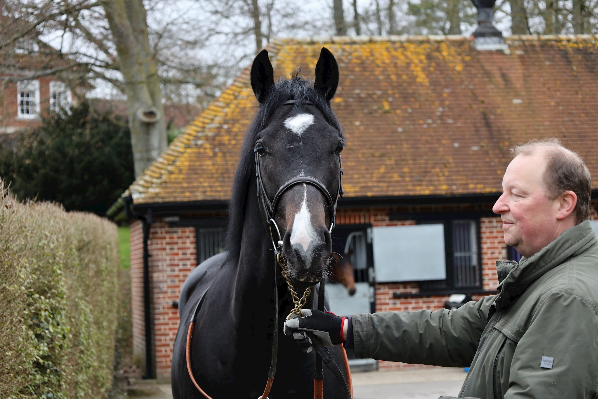 DEVOIR'S CHOICE being paraded for owners at Ed Walker Racing this month.