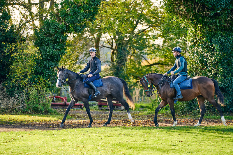 The Flat Season is Upon Us