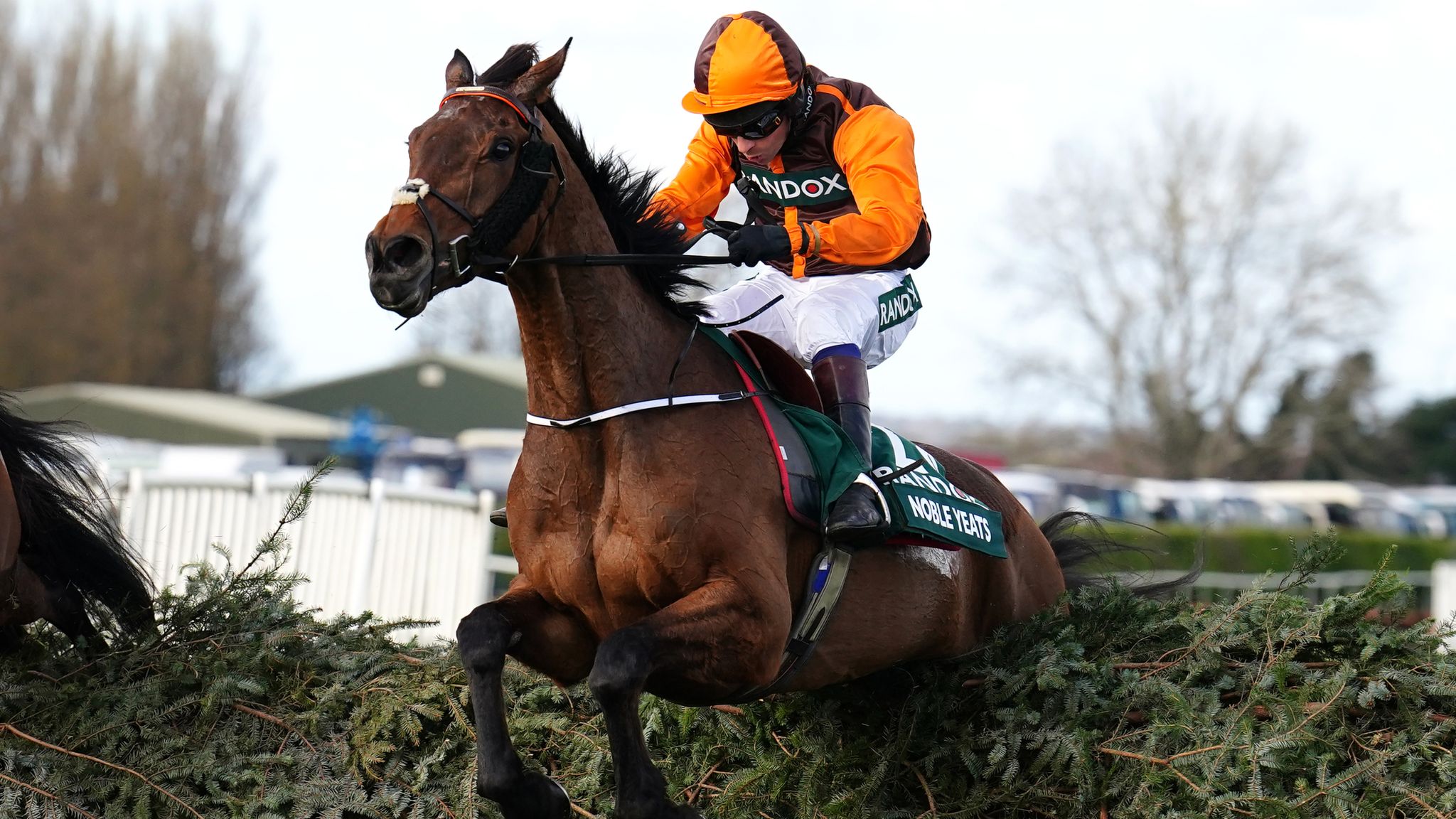 Grand National Preview by Cornelius Lysaght
