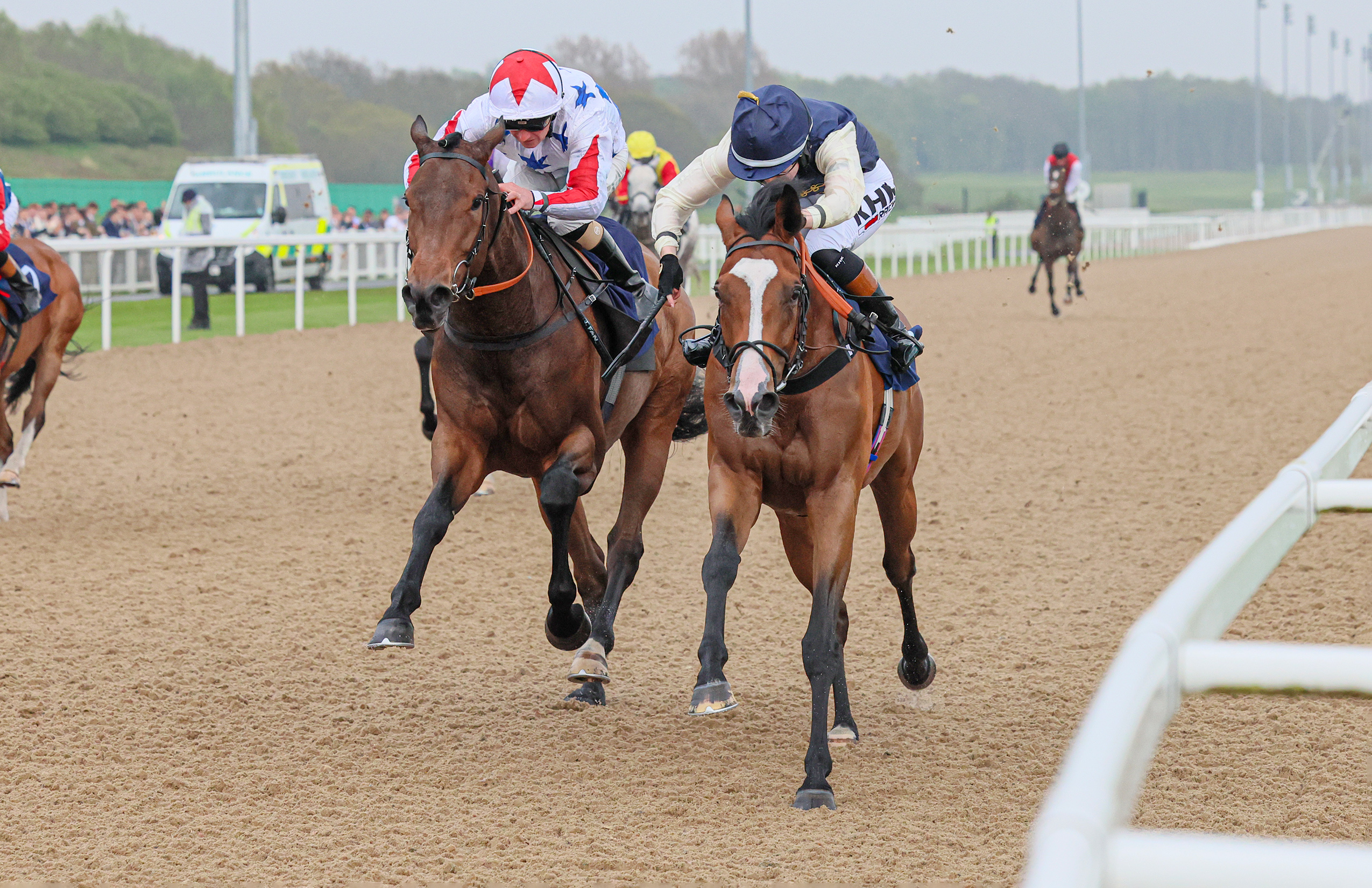 HEDONISTA Heads for the Winning Post