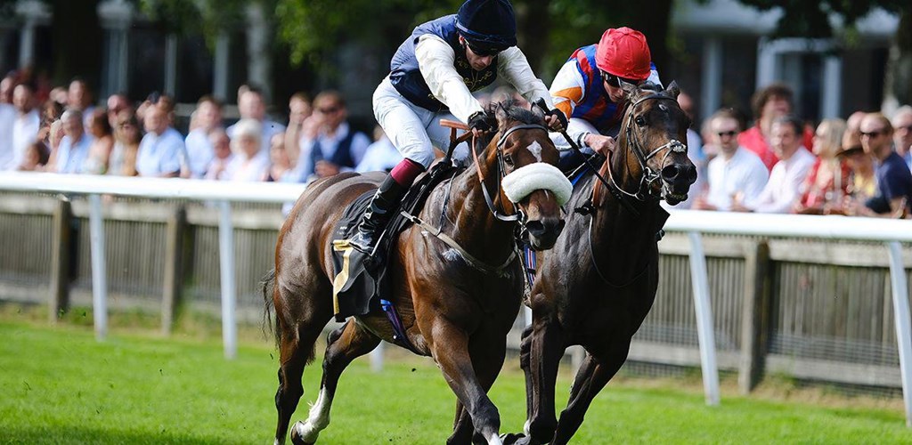 JUNGLE MAC Secures Stunning Win!