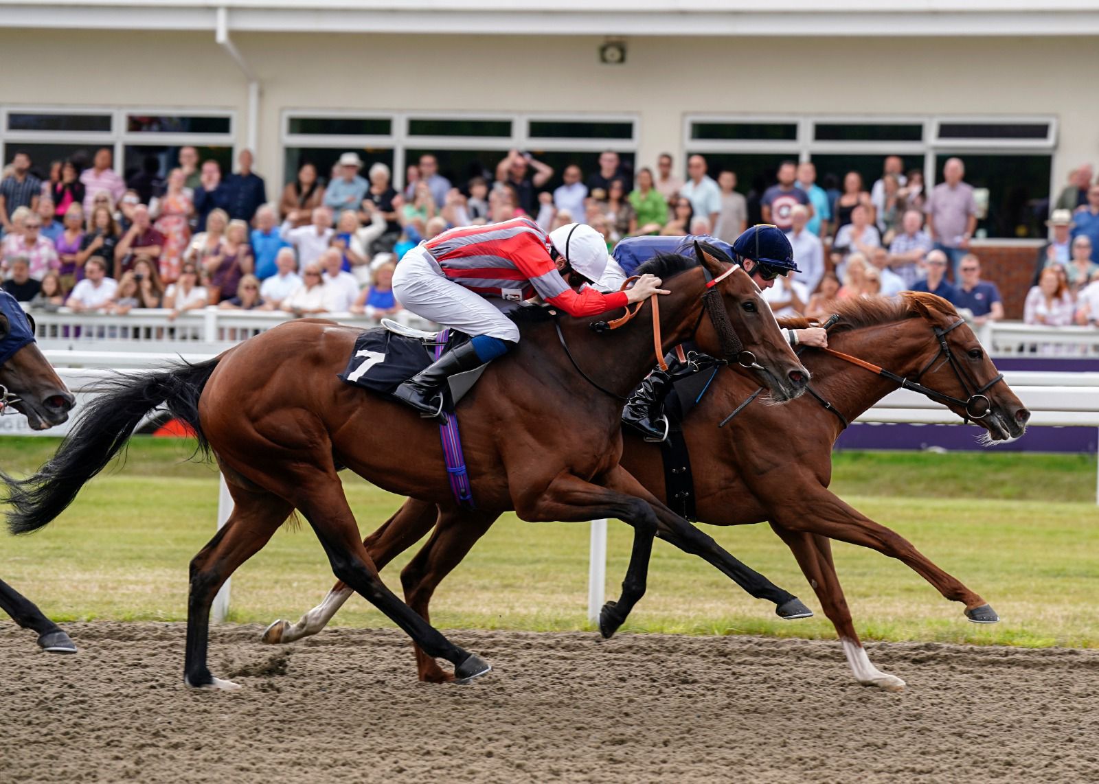 AZURE ANGEL makes a bold bid at Chelmsford